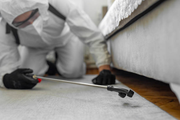 Professional Ant Control technician working in Russellville, AR