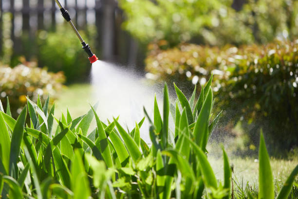 24/7 Emergency Ant Control experts in Russellville, AR