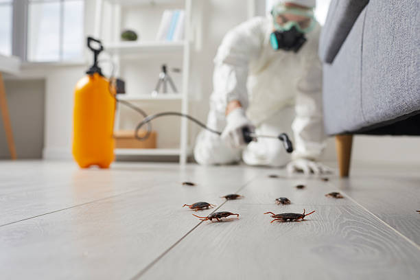 Trusted Fumigation Services service in Russellville, AR - Nex Pest Control